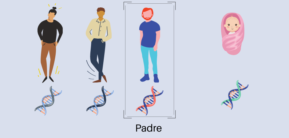 El análisis genético es una herramienta que se usa por ejemplo para determinar la paternidad de un bebe basándose en un principio similar: Cuanto más se parecen genéticamente dos individuos, más emparentados están. 